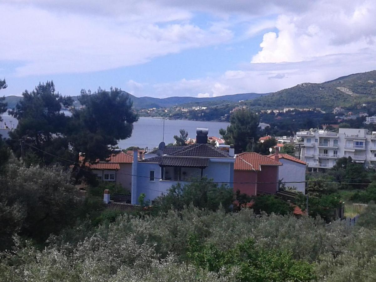 Helianthos Villa - Apartment No1 PalaiónTsiflíkion 外观 照片